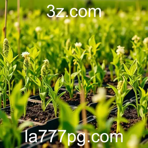 La777: Nova Sensação do Mundo dos Jogos em 2025